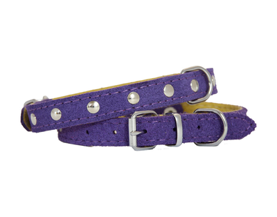 suede leather dog collar in purple