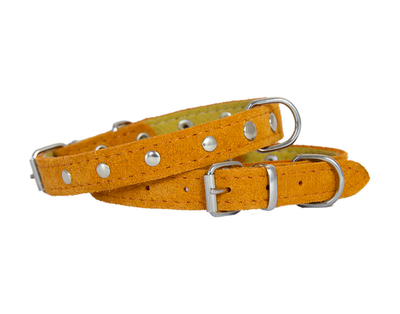 suede leather dog collar in orange