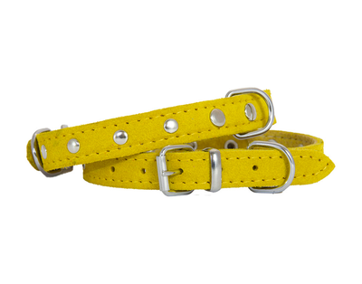 suede leather dog collar yellow