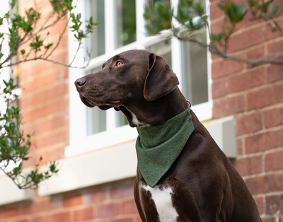 Bandana Modern Tweed Pine Green