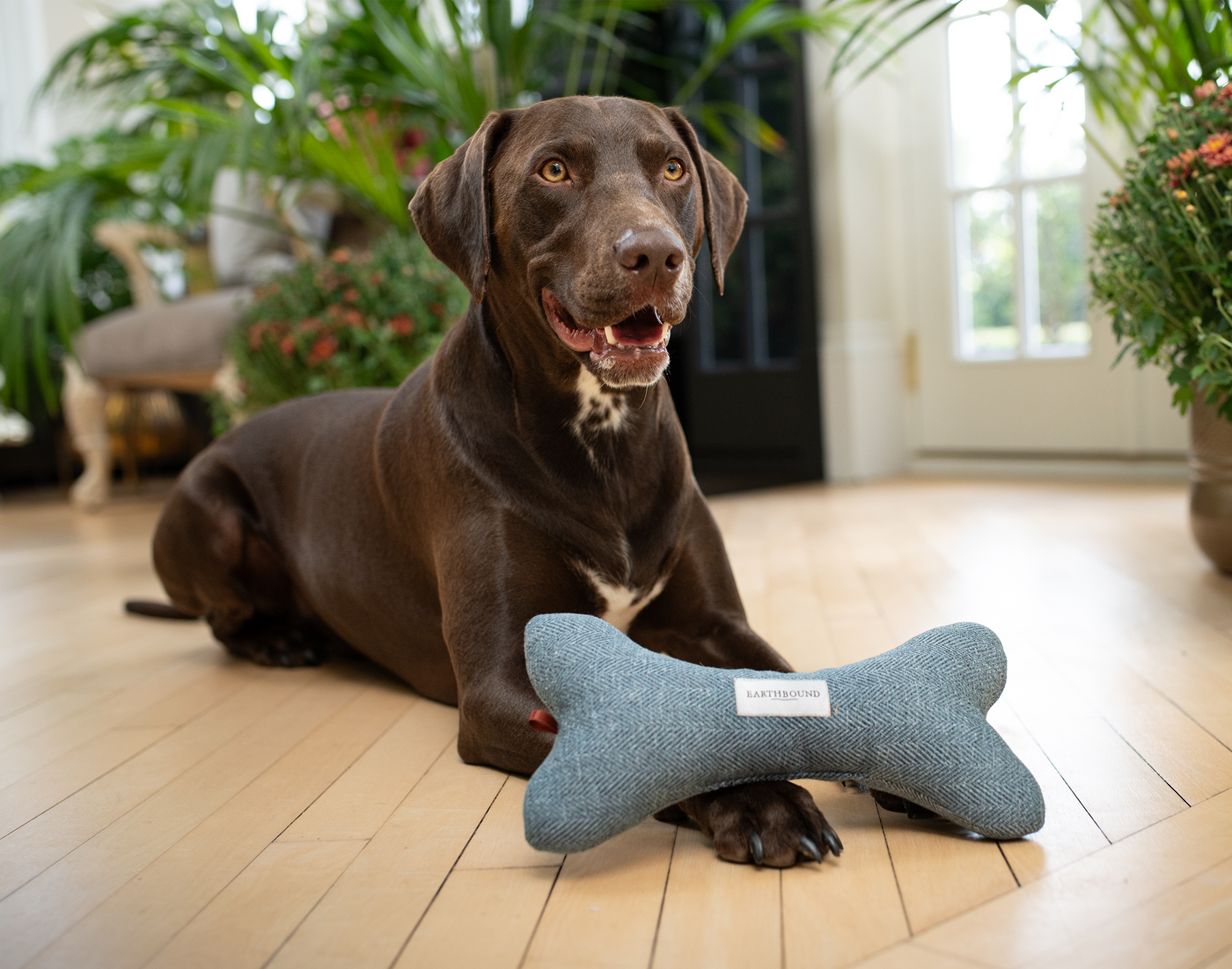 Squeaky Bone Toy Modern Tweed Thistle Blue