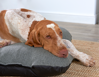 Flat Cushion Traditional Tweed Steel Grey