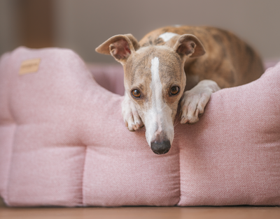 Classic Morland Bed Pink